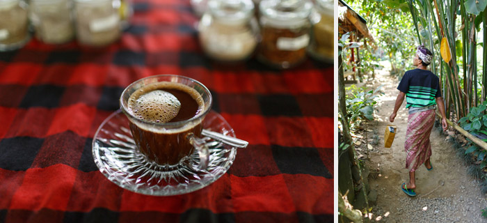 agro coffee plantation bali indonesia