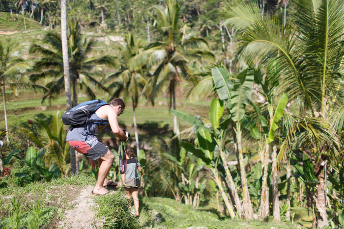 Tegalalang Rice Field bali indonesia