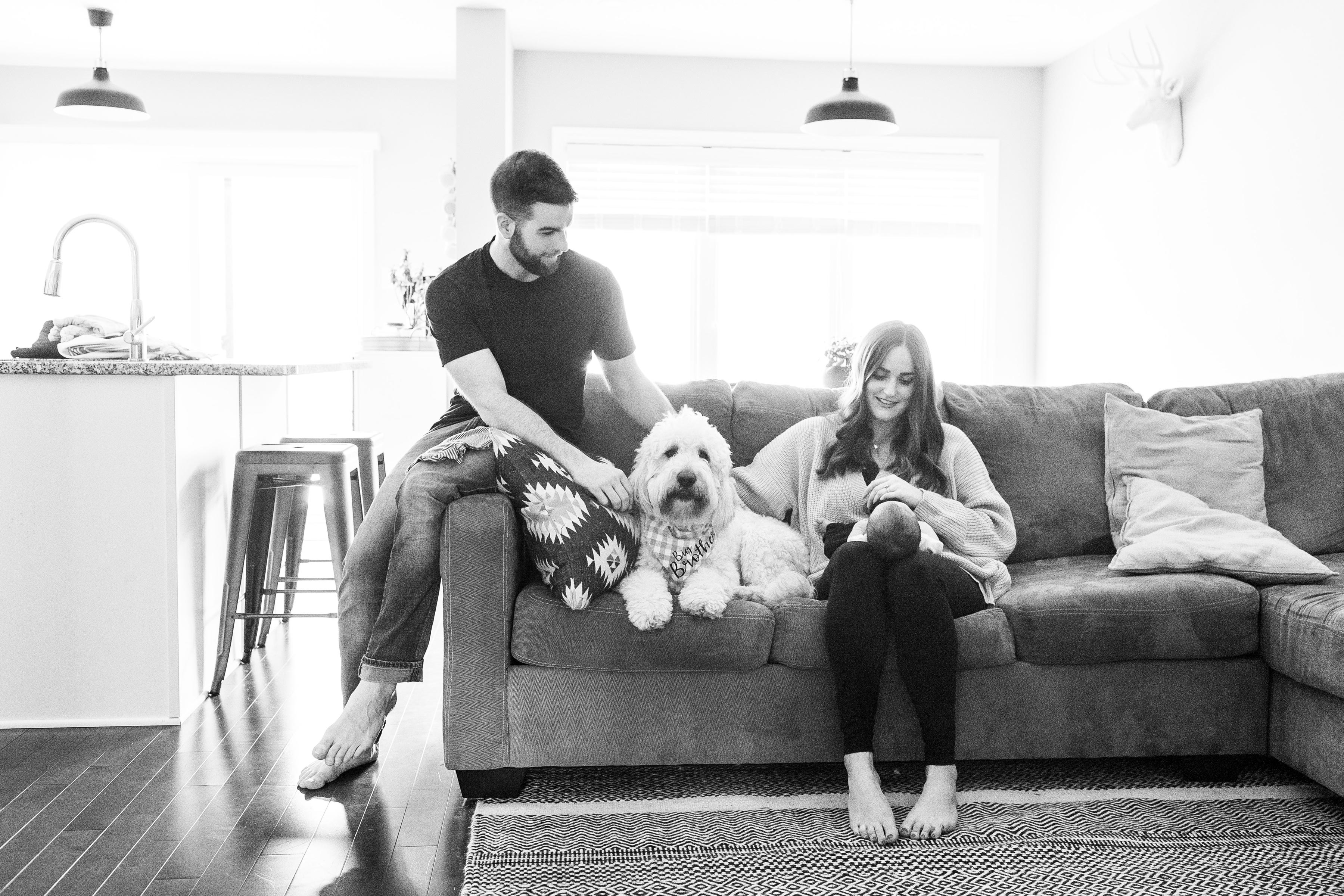 lifestyle photoshoot at home with couple and dog and newborn 