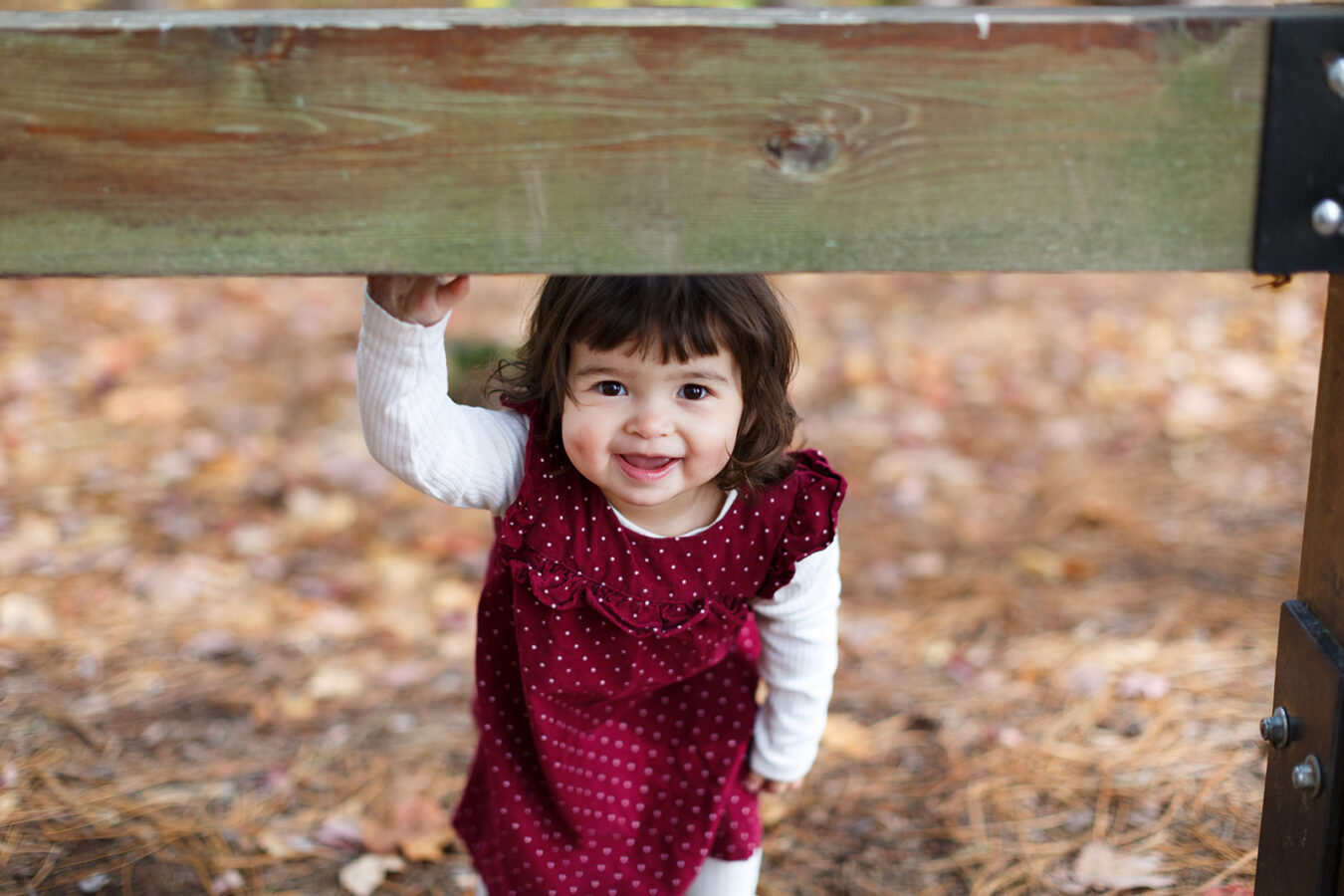 Toddler playing in burgundy dress during fall photoshoot
